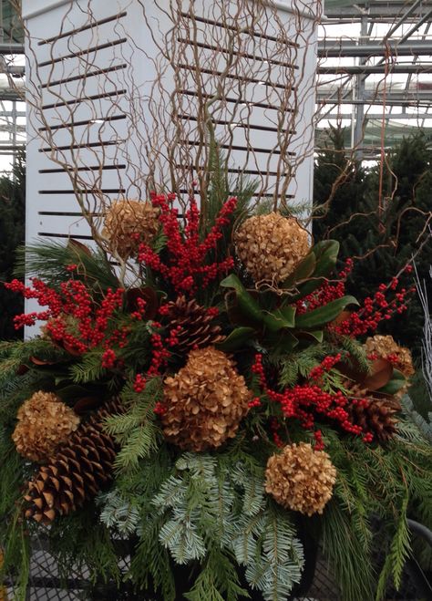 Outdoor Christmas Arrangement Dried Hydrangea, Magnolia, Ilex Berries and Giant Sugar cones. Tall Curly Willow for height. Christmas Planter With Hydrangea, Dried Hydrangea Arrangements Fall, Dried Hydrangea Christmas Decor, Hydrangea Christmas Centerpiece, Dried Hydrangeas Christmas Decor Ideas, Hydrangea Christmas Decor, Dried Hydrangeas Christmas, Dried Hydrangeas Decor Ideas, Dried Hydrangea Arrangements