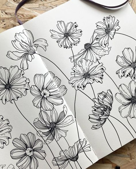 Black Ink Flower Drawing, Closed Flower Drawing, Flowers Ink Drawing, Coloured Fineliner Art, Ink Drawing Flowers, Floral Ink Drawing, Floral Drawing Sketchbooks, Sketchbook Ideas Flowers, Echinacea Drawing