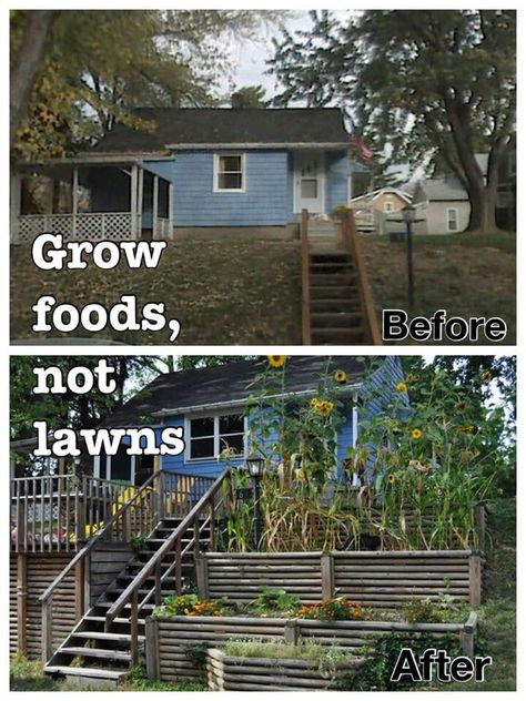 Yarden: Grow foods, not lawns Anti Lawn, Front Yard Farm, Grow Foods, Pnw Plants, Hippie Family, Eco Punk, Anti Consumerism, Fantasy Farm, Sustainable Homestead