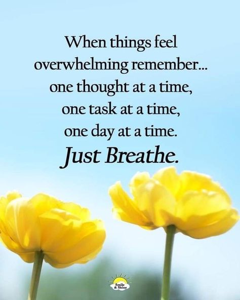 Life Quotes Relationships, Now Quotes, Hug Quotes, Thankful Grateful Blessed, One Day At A Time, Morning Friends, Good Morning Friends, Just Breathe, Inspirational Thoughts