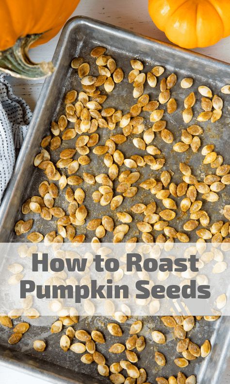 Oven Roasted Pumpkin Seeds, Maple Roasted Pumpkin Seeds, Cinnamon Sugar Pumpkin Seeds, Best Pumpkin Seed Recipe, Pumpkin Seed Recipes Roasted, Spicy Roasted Pumpkin Seeds, Perfect Pumpkin Seeds, Homemade Pumpkin Seeds, Pumpkin Seeds Baked