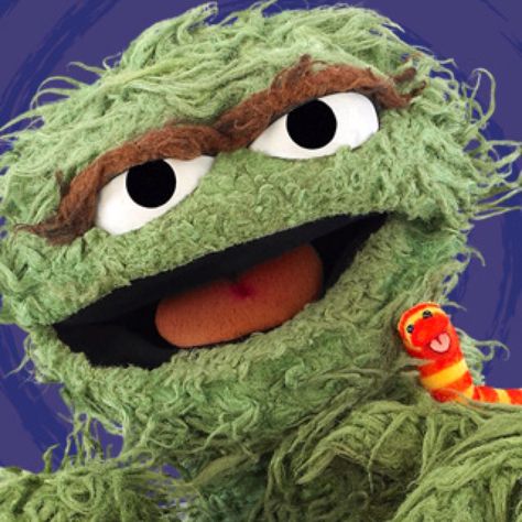 Oscar the grouch and slimey I still think they are two of the best characters along with snufflupagus (sp) Oscar The Grouch And Slimy, Sesame Street Muppets, Sesame Street Characters, Fraggle Rock, Oscar The Grouch, Childhood Tv Shows, The Muppet Show, Muppet Babies, Those Were The Days