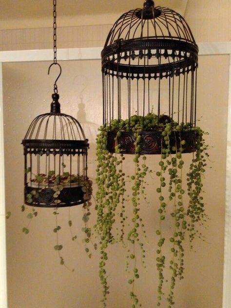 Home Decor Aesthetic, Dark Home Decor, Aesthetic Home Decor, Goth Home, Birdcages, Goth Home Decor, Dark Home, Plant Decor Indoor, Decor Wallpaper