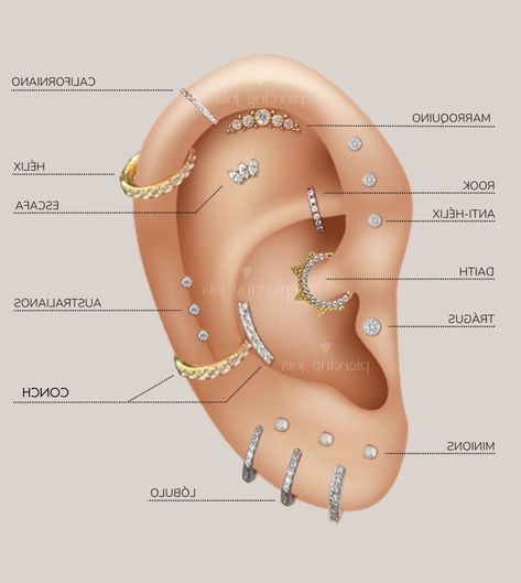 Ear Piercings Placement Chart Names, Ear Piercing Ideas Chart Names, Ear Peirce Chart, Types Of Ear Piercings Names, Ear Piercing Map, Ear Piercing Ideas Chart, Ear Piercings Placement Chart, Ear Piercing Names, Lipstick Guide