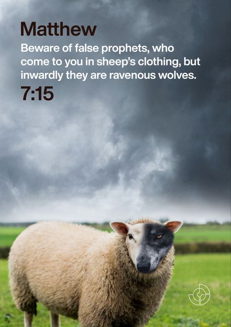 Beware of false prophets, who come to you in sheep’s clothing, but inwardly they are ravenous wolves. Wolves In Sheeps Clothing, Beware Of False Prophets, Ancient Egypt Pyramids, Egypt Pyramids, Raven And Wolf, Sheep Clothing, Bible Quotes Images, False Prophets, Bible Study Verses