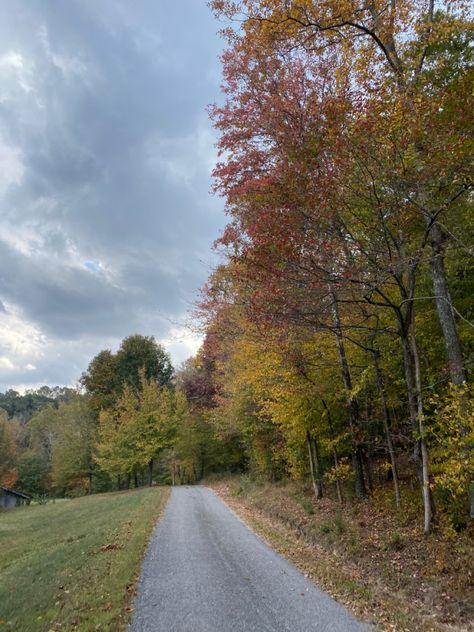 #fall #aesthetic #trees #fallfoilage #country #countryside #nature #granola #tennessee #thesouth Tennessee Autumn, Tennessee Countryside Aesthetic, Knoxville Aesthetic, Tennessee Countryside, Tenesse Girl Aesthetic, Tennessee Aesthetic, Small Town Aesthetic Summer Country, Tennessee Nature, Fall Foilage