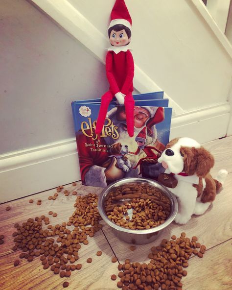 Elf On The Shelf Saint Bernard Ideas, Elf On The Shelf And Pets Ideas, Elf And St Bernard Ideas, Elf On The Shelf Pet Ideas St Bernard, Elf On The Shelf Pets, Elf And Elf Pet Ideas, Elf On The Shelf Pets Reindeer Arrival, Purple Popcorn, Elf Pets