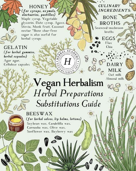 Vegan Herbalism: How to Find Alternatives to Honey, Beeswax, and More | Herbal Academy | For those who adhere to a vegan lifestyle, vegan herbalism means understanding animal-free ingredients to use in common herbal preparations. Vegan Homesteading, Mountain Medicine, Herbalist Aesthetic, Latin Spells, Herbal Preparations, Herbalism For Beginners, Earth Medicine, Herbal Education, Herbal Academy