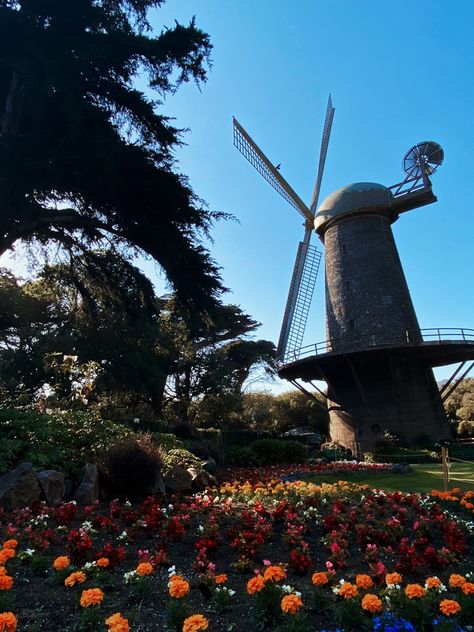 San Francisco Windmill, Windmill Netherlands, Windmills In Holland, Space Needle, San Francisco, Building, Travel