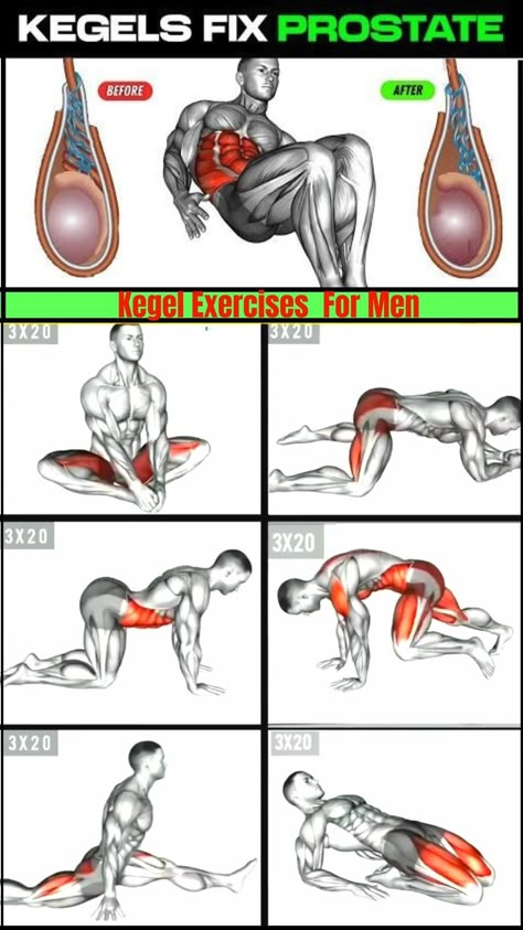 Workout Gif | KEGEL EXERCISES FOR MEN | PELVIC FLOOR EXERCISES #Kegelexercise #pelvichealth #pelvicfloor #kegelformen #homeworkout | Instagram Strengthen Core Exercises, Prostate Health Men Exercise, Best Kegel Exercises, Lean Abs Men, Kegels Exercises For Men, Kegel Exercises For Men Workout, Prostate Exercise, Back Exercises For Men, Posture Workout