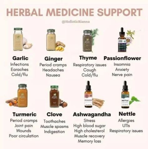 Organic Live Food on Twitter: "Healing Herbs 🌿 https://t.co/A7Nxo0PSpW https://t.co/1rdFcgUyi4" / Twitter Herbal Medicine Cabinet, Herbal Remedies Recipes, Medicinal Herbs Garden, Eastern Medicine, Medical Herbs, Magic Herbs, Herbal Recipes, Natural Healing Remedies, Herbal Healing