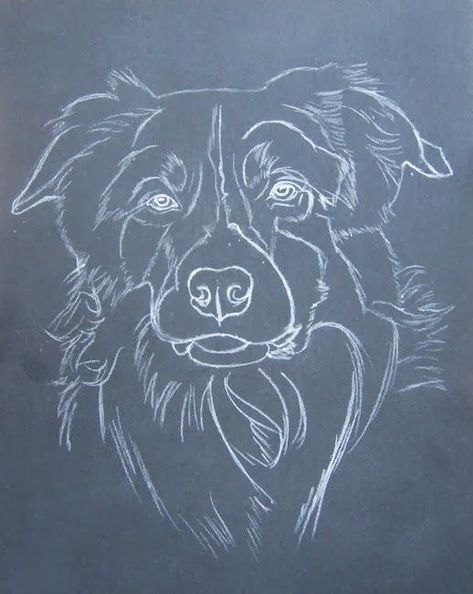 Dog Portrait Drawing, Dog Drawing Tutorial, Border Collie Art, Dog Portraits Painting, Dog Portraits Art, 강아지 그림, Cute Ideas, Border Collies, Color Pencil Art