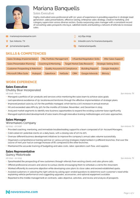 Sales Resume Examples, Resume Summary Examples, Sales Resume, Resume Summary, Functional Resume, Cv Examples, Writing Guide, Student Resume, Resume Objective