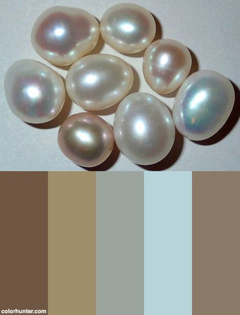 White & Pink Pearls (cultured) Color Scheme from colorhunter.com Pearl Colour Palette, Seashell Color Palette, Pearl Color Aesthetic, Pearl Color Palette, Spooky Beach, Pearls Aesthetic, Color Thesaurus, Pearl Aesthetic, Pearls Photography