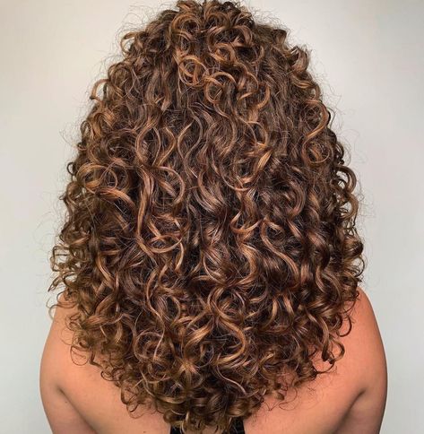 Peinados Hair Styles, Dyed Curly Hair, Natural Curly Hair Cuts, Highlights Curly Hair, Curly Hair Videos, Curly Hair Photos, Big Curly Hair, Curly Hair Types, Colored Curly Hair