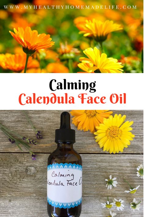 DIY Calming Calendula Face Oil for Skin Redness - My Healthy Homemade Life Calendula Face Oil, Serum For Redness, Diy Face Serum, German Chamomile Essential Oil, Face Care Routine, Chamomile Essential Oil, Herbal Healing, Homemade Beauty, Skin Redness