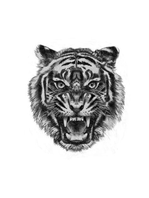 Tiger Face Back Tattoo, Tiger Face Tattoo Men, Angry Tiger Tattoo Design, Men Tiger Tattoo, Tiger Tattoos Men, Tiger Tattoo Face, Animal Face Tattoo, Tiger Tattoo Chest, Tiger Shoulder Tattoo