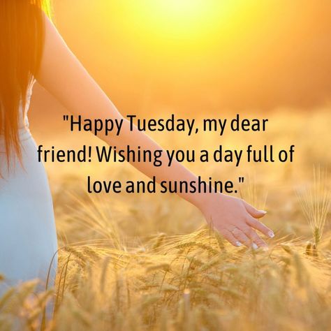 80+ Happy Thankful Tuesday Blessings Happy Tuesday Blessings, Thankful Tuesday, Tuesday Blessings, Heartfelt Messages, Happy Tuesday, Brighten Your Day, Dear Friend, Gratitude