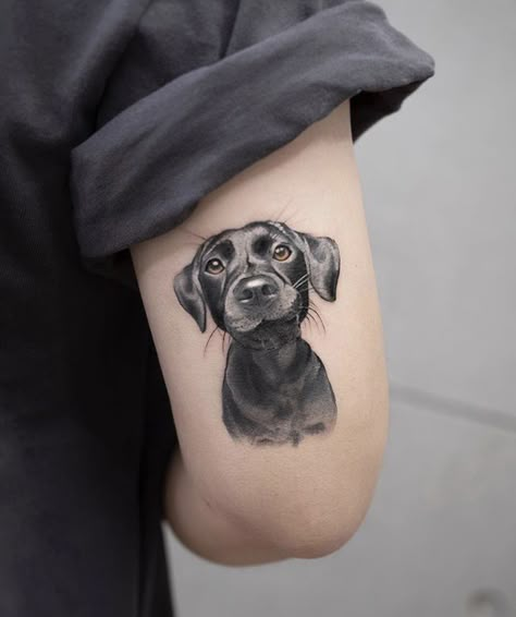 Pin by . on Dog tattoos | Dog tattoos, Dog portrait tattoo, Dog tattoo Black Dog Tattoo, Tato 3d, Tatoo Dog, Dog Portrait Tattoo, Dog Memorial Tattoos, Geniale Tattoos, Memorial Tattoo, Memorial Tattoos, Tattoo Illustration