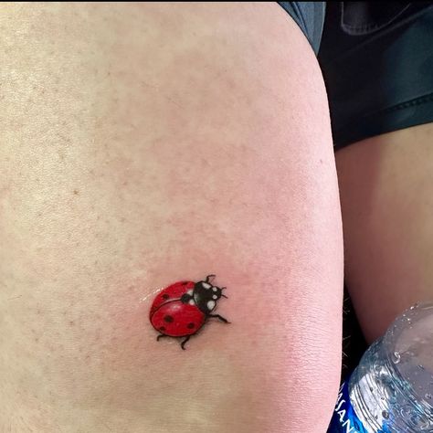 Three Ladybugs Tattoo, Small Lady Bug Tattoos, Lady Bird Tattoo, Two Ladybugs Tattoo, Lady Bug Tattoos Black, Little Lady Bug Tattoos, Girlie Tattoos, Ladybird Tattoo, Ladybug Tattoos