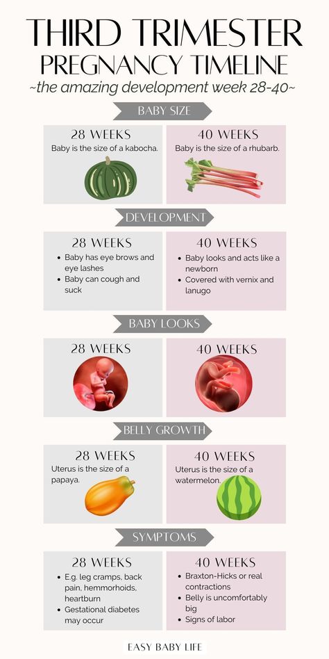 Looking for third trimester pregnancy tips? You NEED this collection of in-depth articles about pregnancy weeks, 3rd trimester symptoms, baby development, things to do, what to eat and not, exercise, and even a true pregnancy journal. Check out now and bookmark! Great for first pregnancy, pregnancy advice, stages of pregnancy, pregnancy health, pregnancy planning resources, and giving birth. Pregnancy Planning Resources, Pregnancy Weeks, Week By Week Pregnancy, Pregnancy Planning, Baby Weeks, Pregnancy Timeline, Third Trimester Pregnancy, Pregnancy Facts, Pregnancy Week