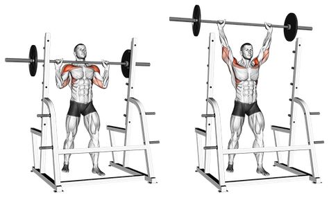 Standing Overhead Barbell Press Exercises Back, Barbell Press, Chest Exercises, Shoulder Exercises, Chest Press, Military Press, Body Coach, Barbell Workout, Leg Exercises