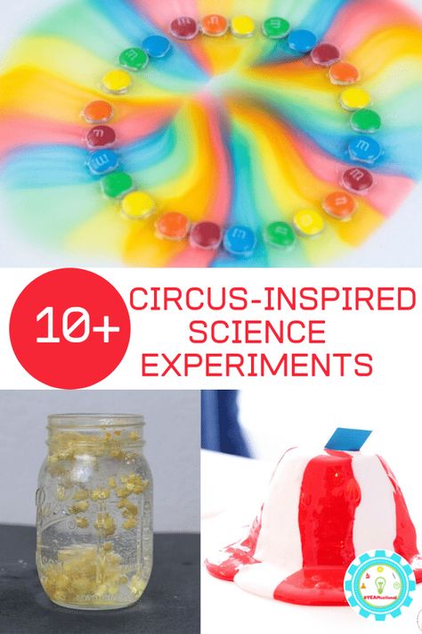 If you love the circus and science, then you'll have a blast trying out these circus science experiments. Kids will love the circus science activities! Circus Science, Circus Theme Preschool Activities, Preschool Circus, Candy Science Experiments, Circus Activities, Carnival Activities, Carnival Crafts, Circus Crafts, Science Experiments For Kids