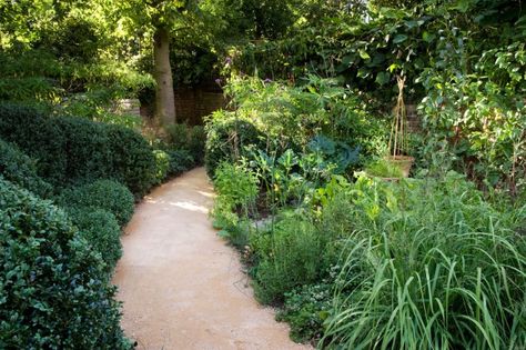 One length of the garden is more shady than the other and has been planted with an exuberant wavy hedge of box, against a further hedge of beech. Vegetables and densely packed perennials thrive in the sun on the other side of the path. Patio Exterior Ideas, Hillside Landscaping, London Garden, Moss Garden, Rock Garden Landscaping, Garden Photography, Garden Pathway, Garden Landscape Design, Natural Garden