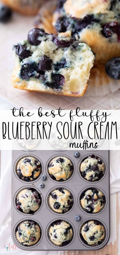 These fluffy Blueberry Sour Cream Muffins are made with fresh blueberries and a fresh blueberry sauce. They’re moist, light and fluffy. Blueberry Sourcream Muffins, Blueberry Muffins Dried Blueberries, Light And Fluffy Blueberry Muffins, Best Blueberry Recipes, Blueberry Muffins Sour Cream, Blueberry Bread Recipe Moist, Recipes With Fresh Blueberries, Fresh Blueberry Recipes Easy, Blueberry Muffins With Sour Cream