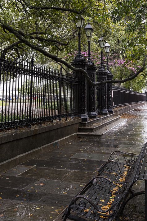 New Orleans Aesthetic Dark, City Scenery Wallpaper, After Rain Aesthetic, Pretty Woman Aesthetic, Jackson Square New Orleans, Square Aesthetic, New Orleans Photography, City Scenery, Wallpaper Night