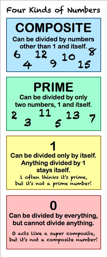 There are four kinds of numbers - composite numbers, prime numbers, 1 and 0. Types Of Numbers, Composite Numbers, Teaching Math Strategies, Everyday Math, Math Charts, Prime Numbers, Learning Mathematics, Math Tutorials, Math Vocabulary