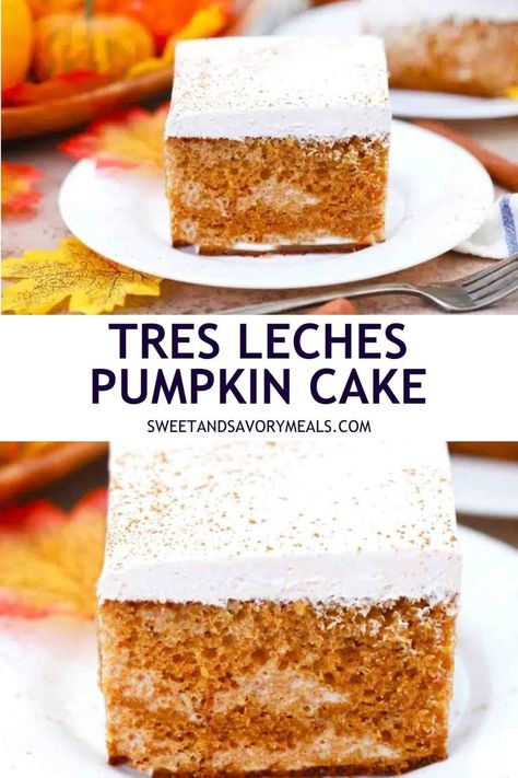 a plate with a slice of tres leches pumpkin cake and a nearer shot of tres leches pumpkin poke cake Pumpkin Tres Leches, Pumpkin Tres Leches Cake, Gluten Free Gingerbread Cake, Pumpkin Cake Recipe, Maple Whipped Cream, Tasty Appetizers, Mouthwatering Desserts, Thanksgiving Baking, Dessert Cakes