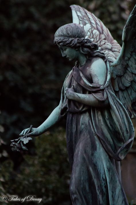 Angel Statues Sculpture, Cemeteries Photography, Cemetery Angels, Cemetery Monuments, Cemetery Statues, Angel Statue, Angel Tattoo Designs, Angel Images, Cemetery Art