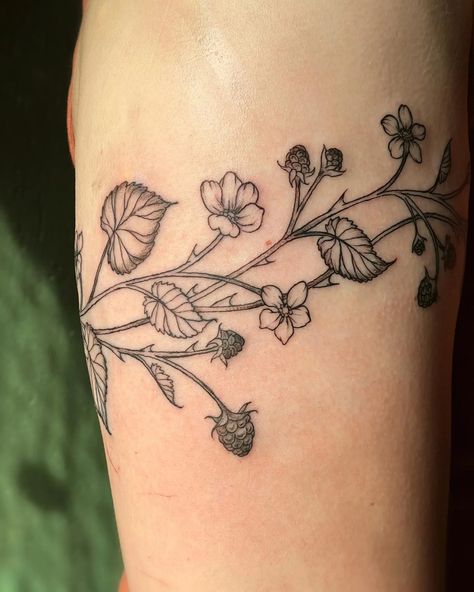 Blackberry Vine Tattoo Arm, Blackberry Vine Drawing, Blackberry Tattoo Sleeve, Raspberry Bush Tattoo, Raspberry Branch Tattoo, Blackberry Tattoos, Blackberry Branch Tattoo, Blackberry Vine Tattoo, Bramble Tattoo