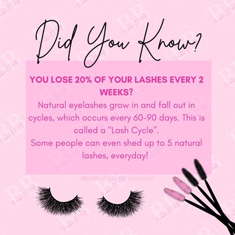 Lash Facts, Eye Lash Care, Brow Waxing, Esthetician Inspiration, Eyelash Studio, Makeup Courses, Lash Lounge, Lash Quotes, Beauty Courses