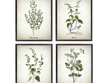 Lemon digital print | Etsy Foliage Reference, Botanical Printables, Herb Prints, Rosemary Sage, Hand Paintings, Printable Vintage Art, Botanical Wall Decor, Botanical Art Prints, Culinary Herbs