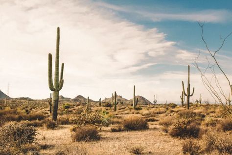 Hot Air Balloon Ride, Desert Aesthetic, Gondola Ride, Japanese Shrine, Alien Artwork, Hot Desert, Desert Environment, Desert Travel, Desert Dream