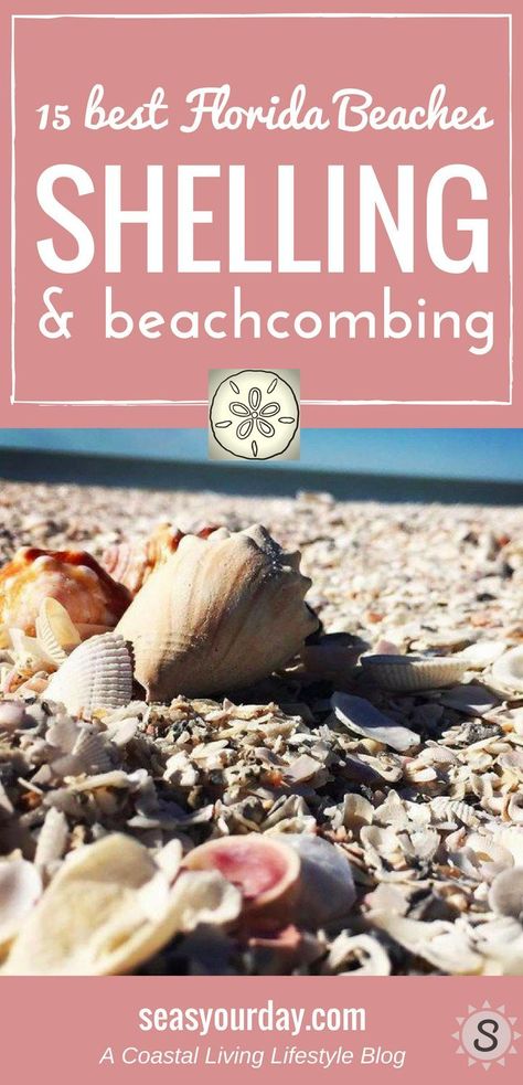 Some of the best beaches for shelling and beachcombing are in Florida. From the Gulf Coast to the East Coast here's a list of 15 best beaches to find a variety of sea shells, sea glass and other treasures. #Shelling #Beachcombing #Seashells #Florida Map Of Florida Beaches, Best Florida Beaches, Florida Gulf Coast Beaches, Beautiful Beaches Paradise, Where Is Bora Bora, Best Island Vacation, Gulf Coast Beaches, Lanai Island, Honey Moon