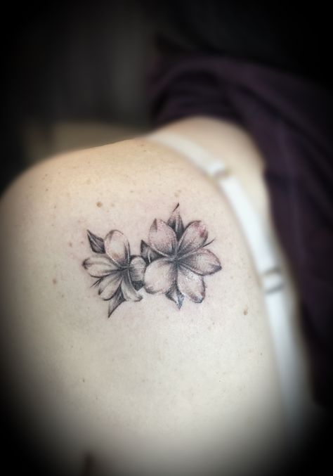 Colar Bone Tattoo For Women Unique, Dogwood Tattoo, Hawaii Tattoo, Plumeria Tattoo, N Tattoo, Hawaiian Tattoos, Floral Thigh Tattoos, L Tattoo, Flower Tattoo Ideas