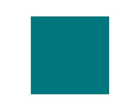 Really Teal SW6489 Paint by Sherwin-Williams - modlar.com Teal Front Door Colors Sherwin Williams, Sw Really Teal, Really Teal Sherwin Williams, Sherwin Williams Really Teal, Really Teal, Teal Wall Colors, Teal Front Doors, Teal Paint Colors, Logo Color Schemes