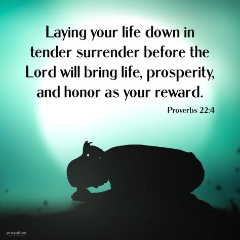 Proverbs 22 4, Bible Proverbs, A Bible Verse, Proverbs 22, Everyday Quotes, Verses Wallpaper, Prayer Scriptures, Bible Verses Quotes Inspirational, Bible Verse Wallpaper