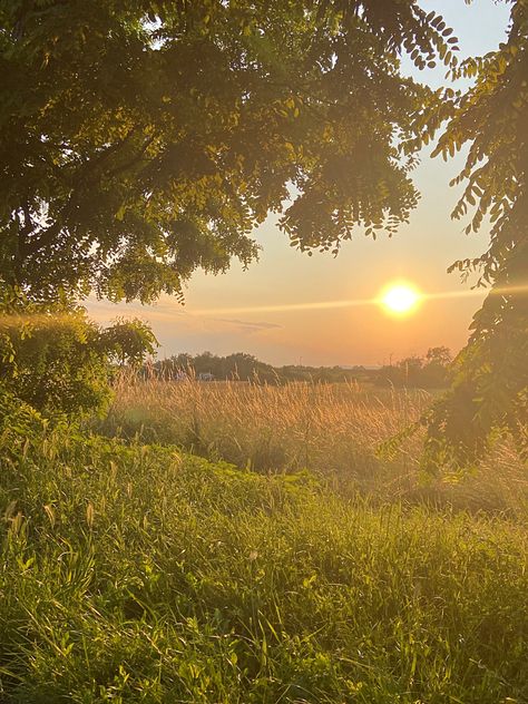 sunny golden hour sunshine aesthetic trees medow ray sunbeam golden summer evening Apollo's Cabin, Apollo Cabin, Cabin Aesthetic, Sun Aesthetic, Pretty Landscapes, Eternal Sunshine, Alam Yang Indah, Nature Aesthetic, Thoughts And Feelings