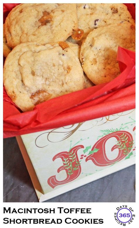 Macintosh Toffee Chocolate Chip Shortbread Cookies | 12 Days of Easy Christmas Cookies 365daysofeasyrecipes.com Macintosh Toffee Recipes, Shortbread Cookies Recipes, Instead Of Watching Tv, Chocolate Chip Shortbread, Chocolate Chip Shortbread Cookies, Toffee Chocolate, Christmas Shortbread, Toffee Recipe, Thumbprint Cookies Recipe