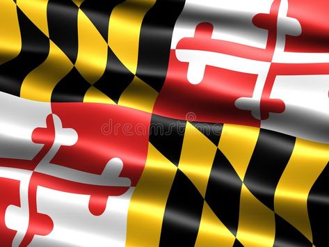 Maryland Flag, Flag Photo, Nursing Degree, Academic Research, Nursing Education, Community Business, State Flags, Higher Education, Online Classes