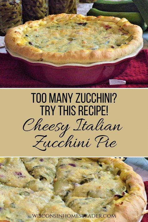 Zucchini Main Dishes, Italian Zucchini Crescent Pie, Savory Zucchini Recipes, Italian Zucchini Recipes, Zucchini Onion Pie Recipe, Zucchini Onion Pie, Zucchini Apple Pie, Zucchini Ideas, Zucchini Pie Recipes