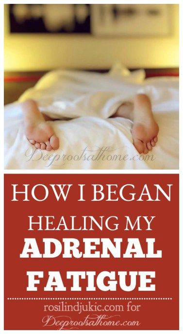 Adrenal Fatigue Symptoms, Adrenal Support, Adrenal Health, Adrenal Glands, Adrenal Fatigue, Endocrine System, Diet Help, Chronic Fatigue, Herbal Medicine