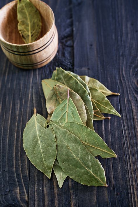 The Best Place to Store Bay Leaves Is Not in Your Spice Drawer — Tips from The Kitchn How To Reheat Steak, Bay Leaf Tree, Pork Cooking Temperature, Burning Bay Leaves, Spices Photography, Spice Drawer, Cooking Classes For Kids, Cooking Supplies, Bay Leaf