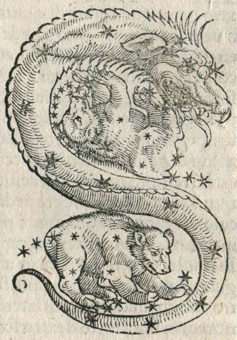 Hyginus Source: http://riowang.blogspot.co.uk/2009/02/constellations.html Bear Symbolism, Medieval Drawings, Ancient Drawings, Esoteric Art, Occult Art, Old Images, Arte Inspo, Medieval Art, 15th Century