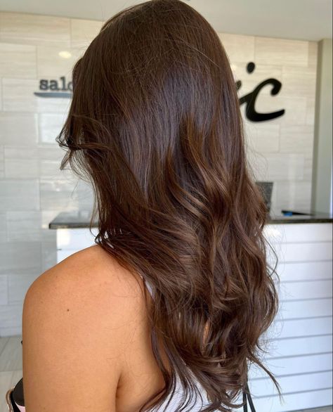 Plain Brunette Hair, Dark Gold Brown Hair, Soft Brown Hair Color Natural, Beige Chocolate Hair, Single Color Brunette Hair, Caramel Macchiato Hair Color, Dark Hazelnut Hair Color Brown, Warm Toned Dark Brown Hair, Warm Rich Brown Hair