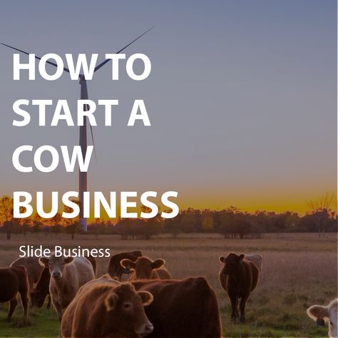 Are you thinking of starting a cow farm? It is just an excellent business venture if you are passionate about raising cattle. Starting A Cattle Ranch, Agriculture Business Plan, House Fever, Raising Cattle, Beef Cow, Agriculture Business, Llc Business, Homesteading Ideas, Cattle Brands